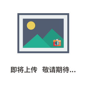 德國(guó)FESTO比例閥/費(fèi)斯托電磁閥